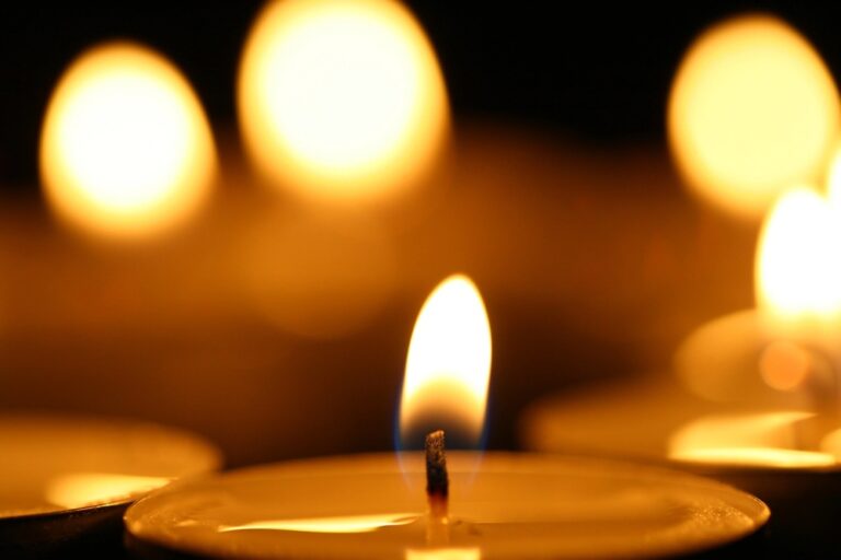 Pedestrian Fatally Struck at S 54th St & W National Ave