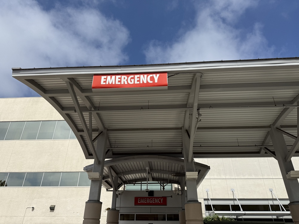 Police Chase Ends in Crash Involving Transit Bus at Lovers Ln & Silver Spring Dr
