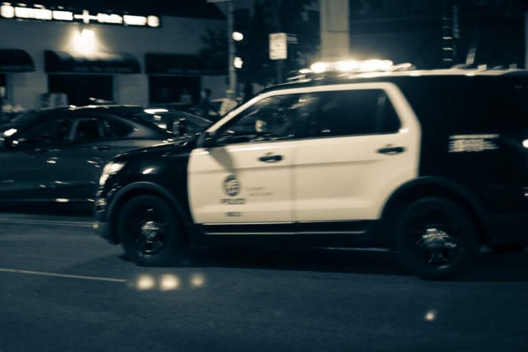 Vehicle Rear-Ends K9 Squad Car on I-94